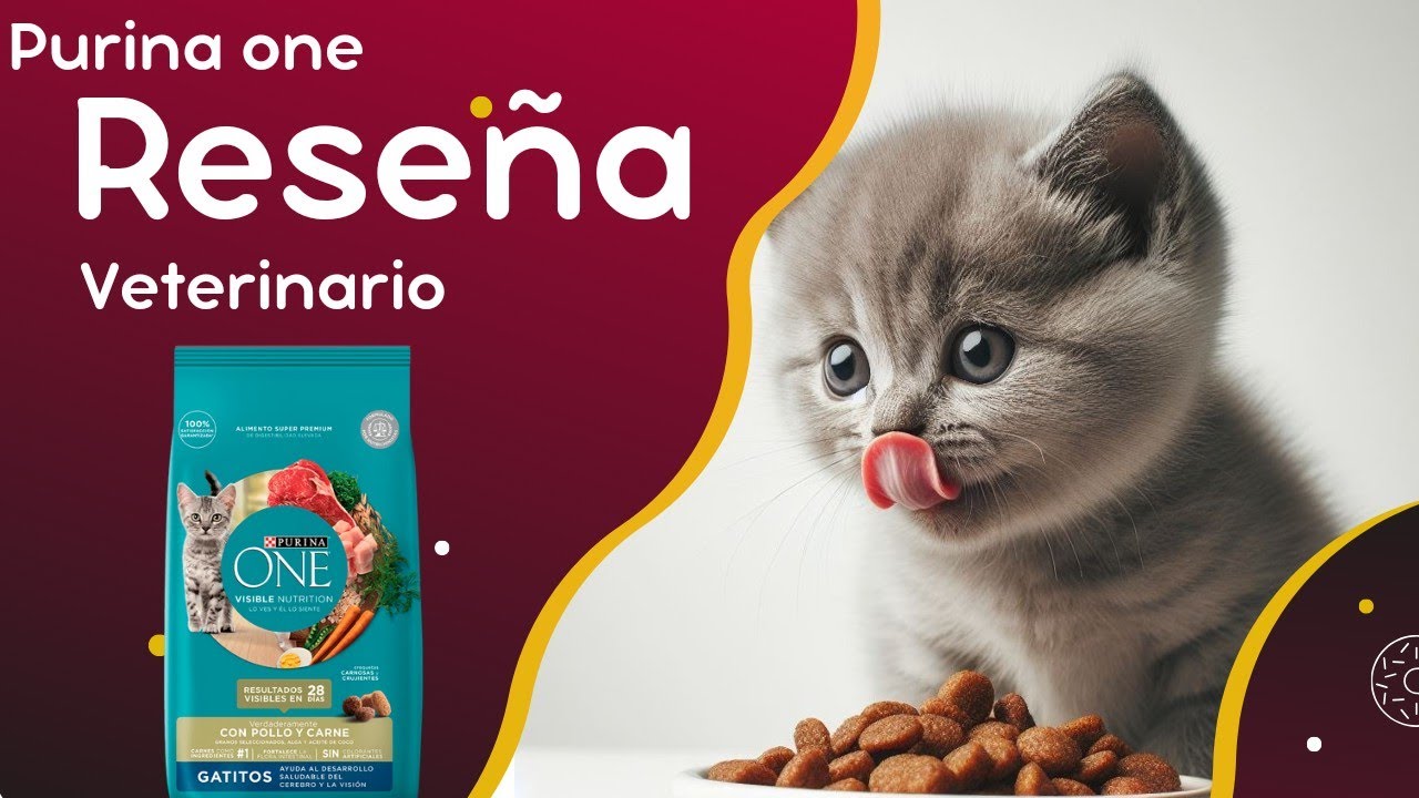 Análisis Purina one para gatitos