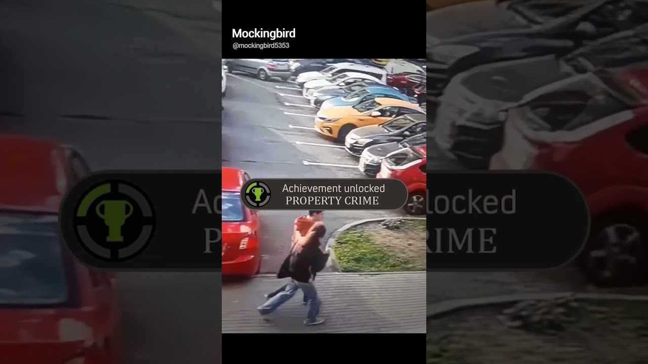 Just Pure Mindless Vandalism 