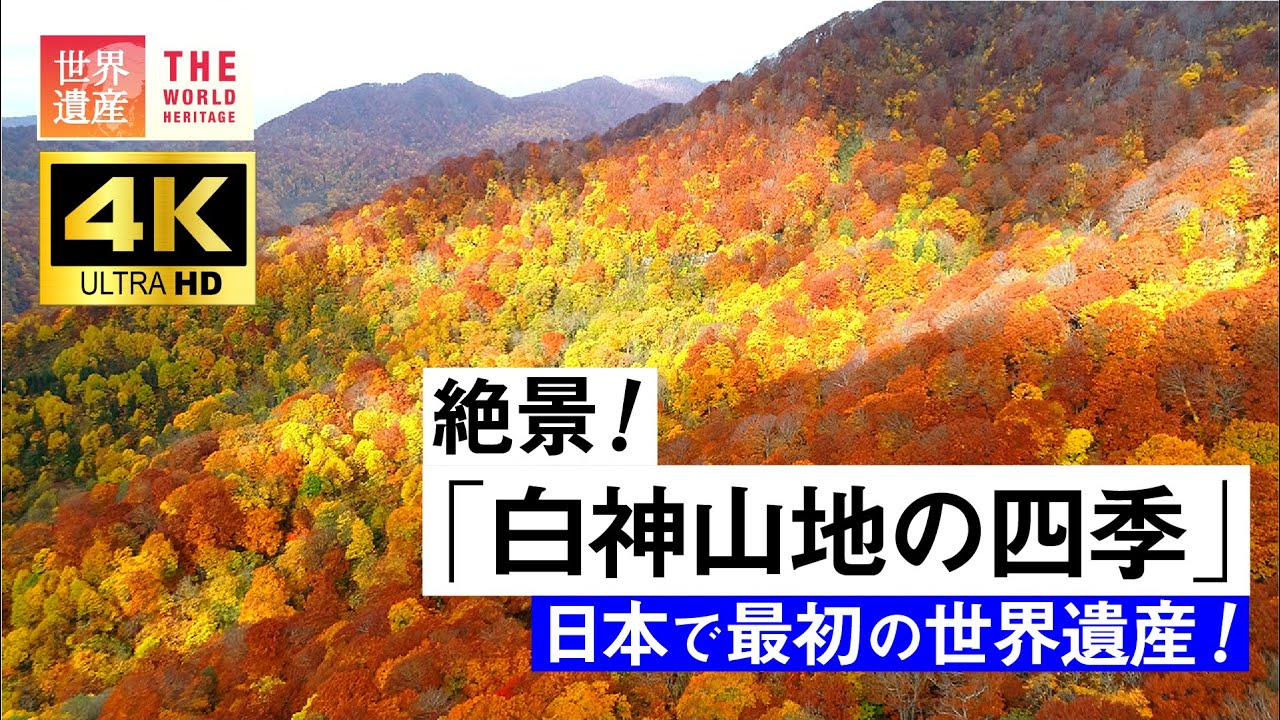 【4K】絶景世界遺産！白神山地の四季　World Heritage,Shirakami Sanchi, Japan. Aerial 4K video in Shirakami Sanchi.