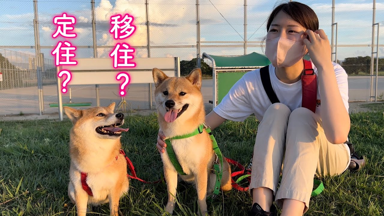 私たちの今後の生活について…