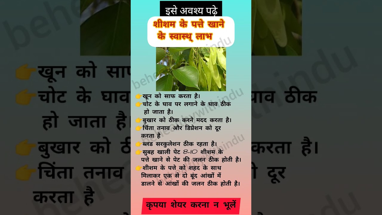 शीशम के पत्ते खाने के स्वास्थ् लाभ #sheesham #health #healthy #ytshorts #viral