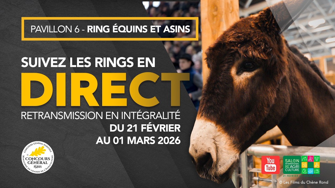 Ring Equins et Asins 21/02/2026 @salonagriculture