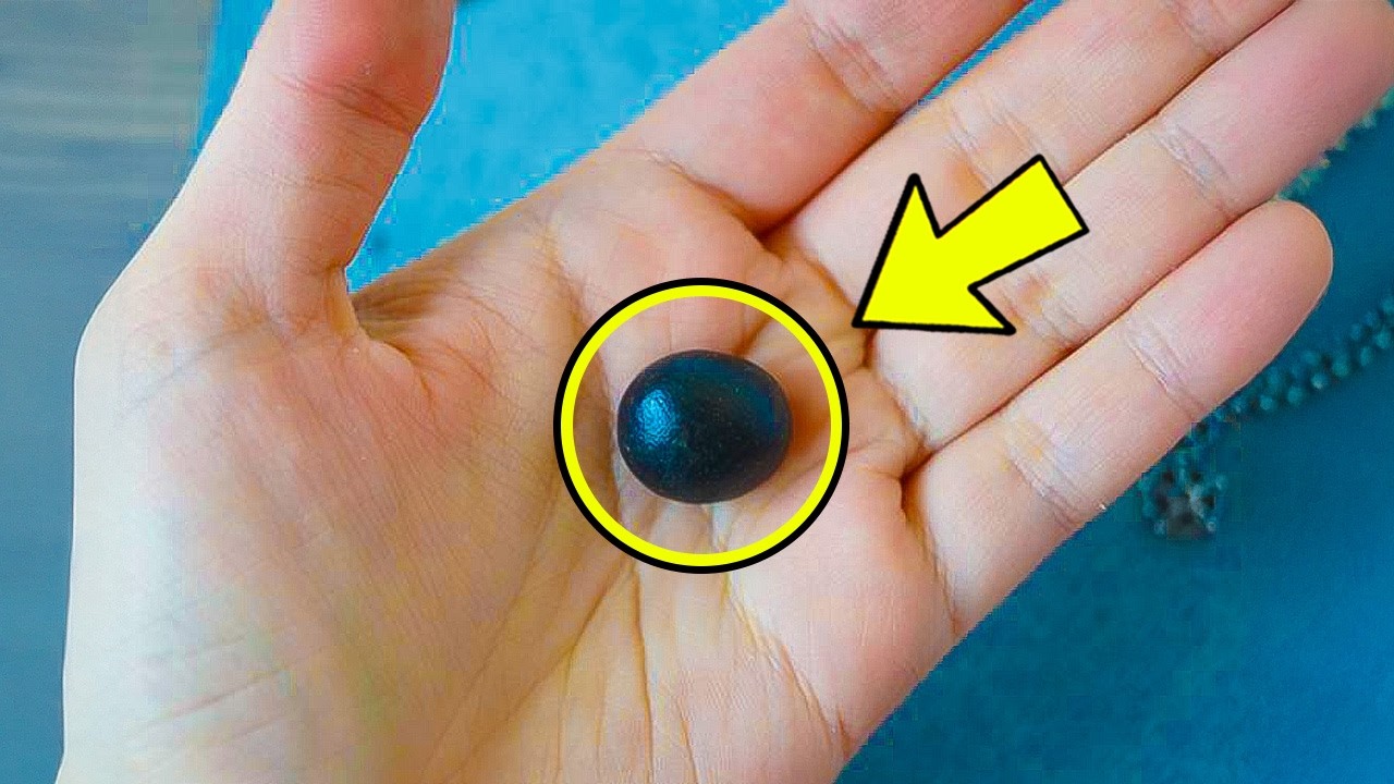 Farmer Spots An Abandoned Black Egg & Takes It Home. But When It Hatched He Started Crying!
