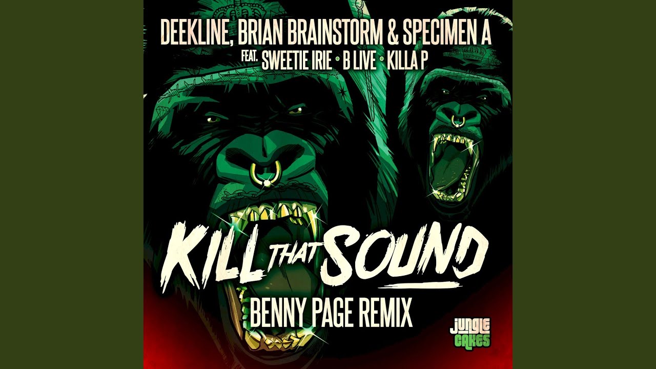 Kill That Sound (Benny Page Remix)
