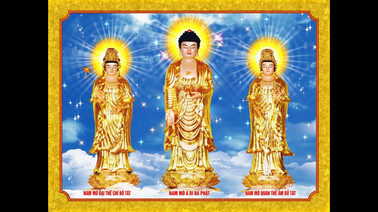 PHAP SU NGO THONG NIEM A MI DA PHAT