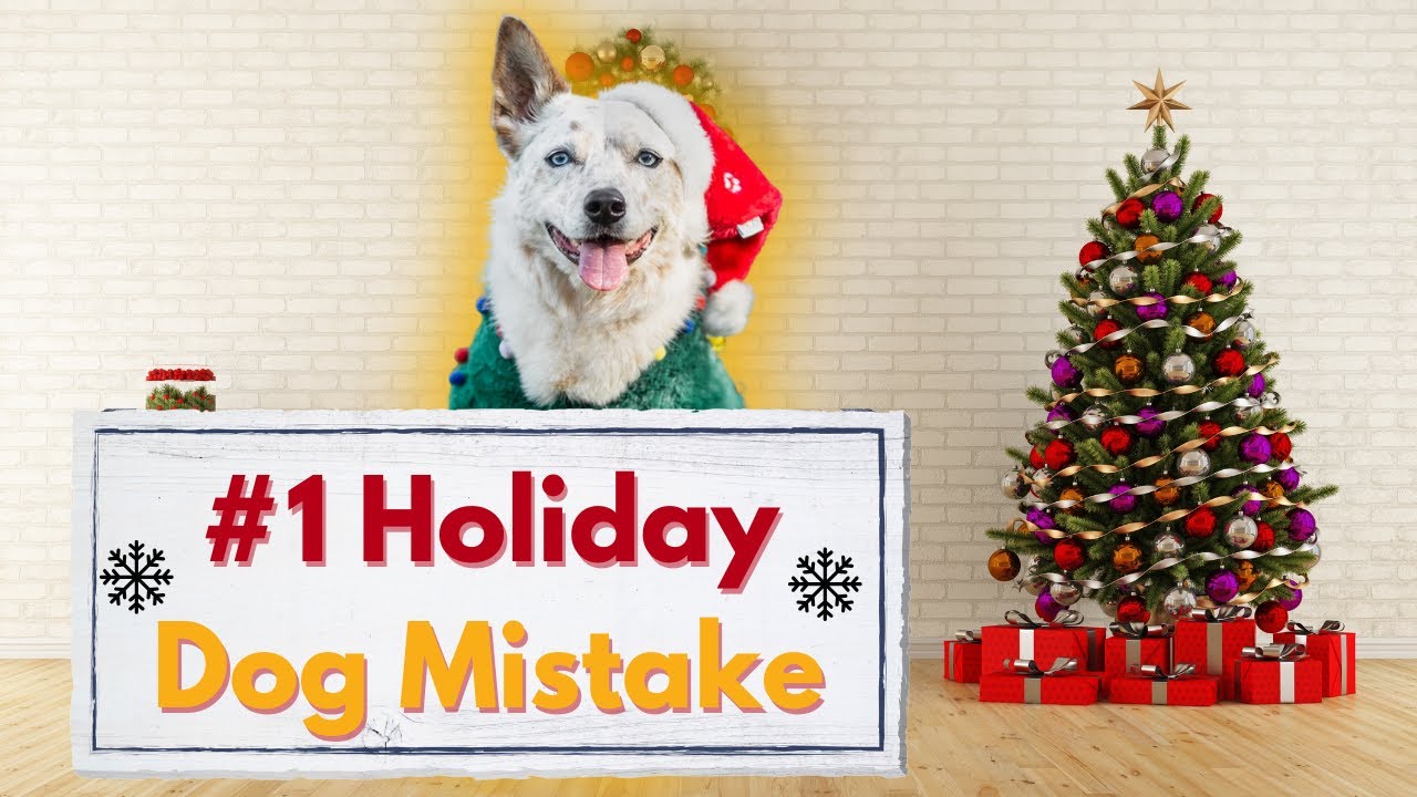 The #1 Mistake Dog Owners Make Every Holiday (It&rsquo;s Not What You Think)