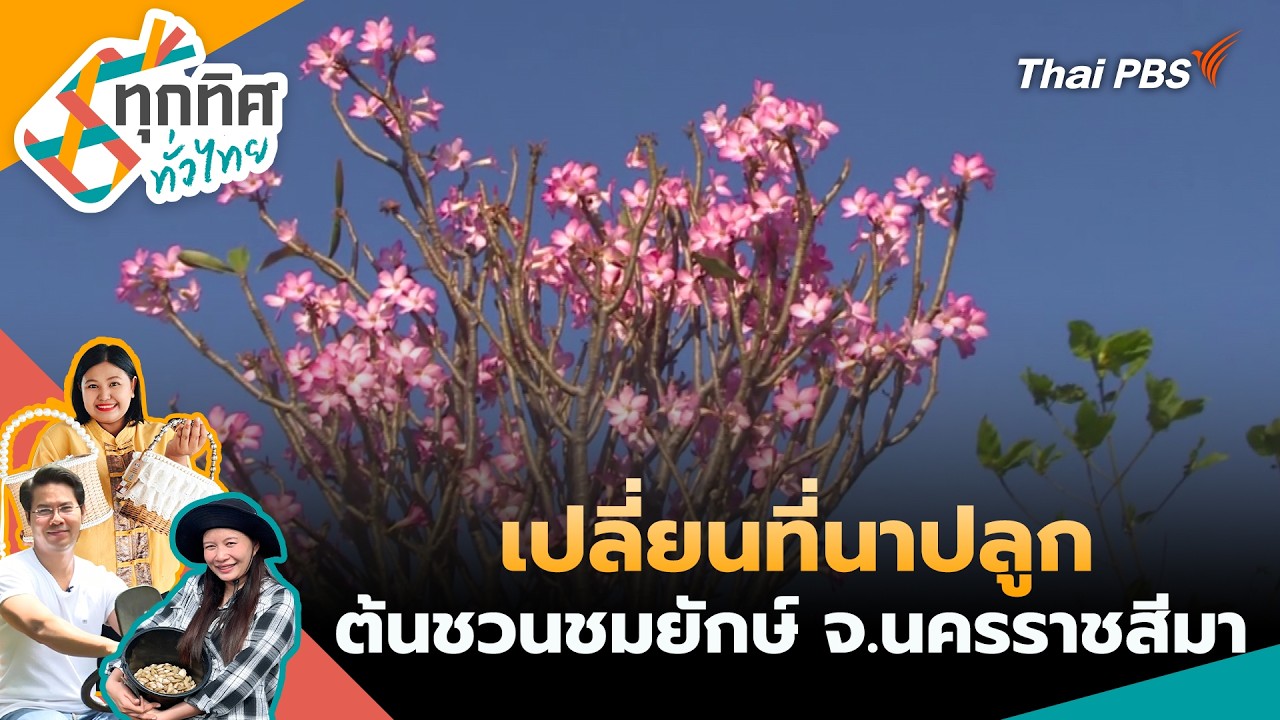 🔴 [Live] ทุกทิศทั่วไทย | 17 มี.ค. 69