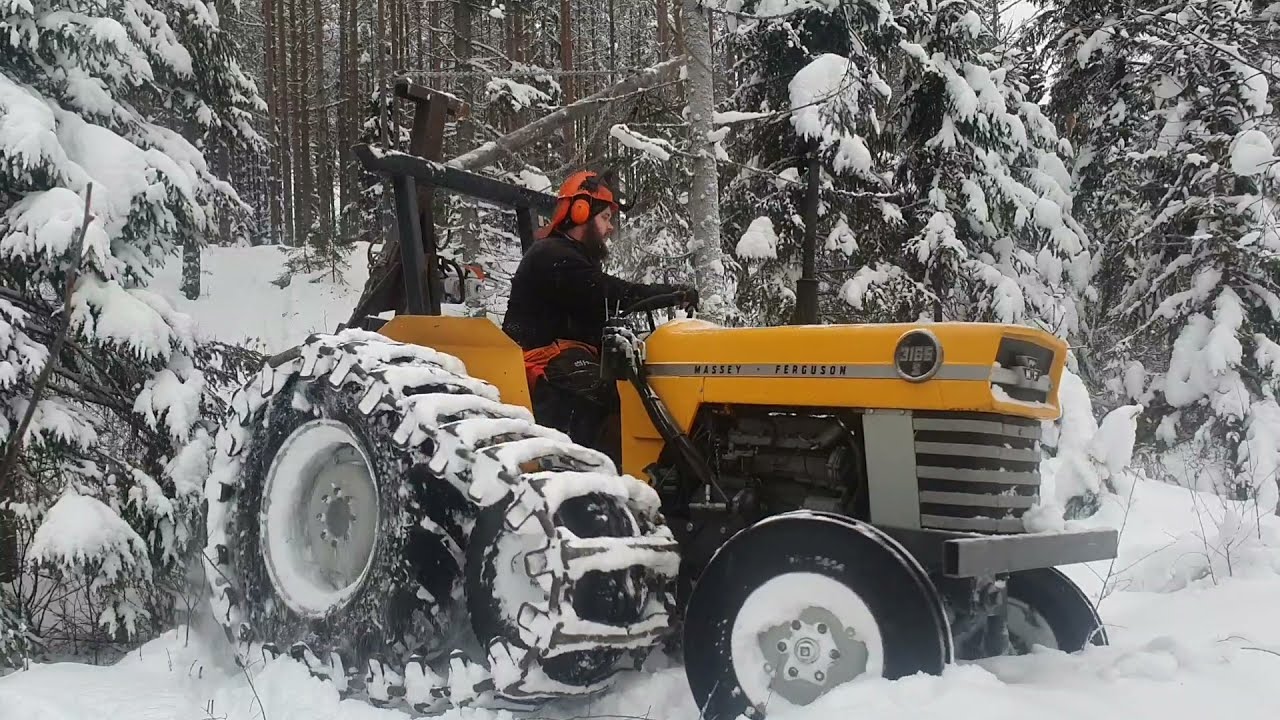 MF 3165s tervaspuiden haku metsästä