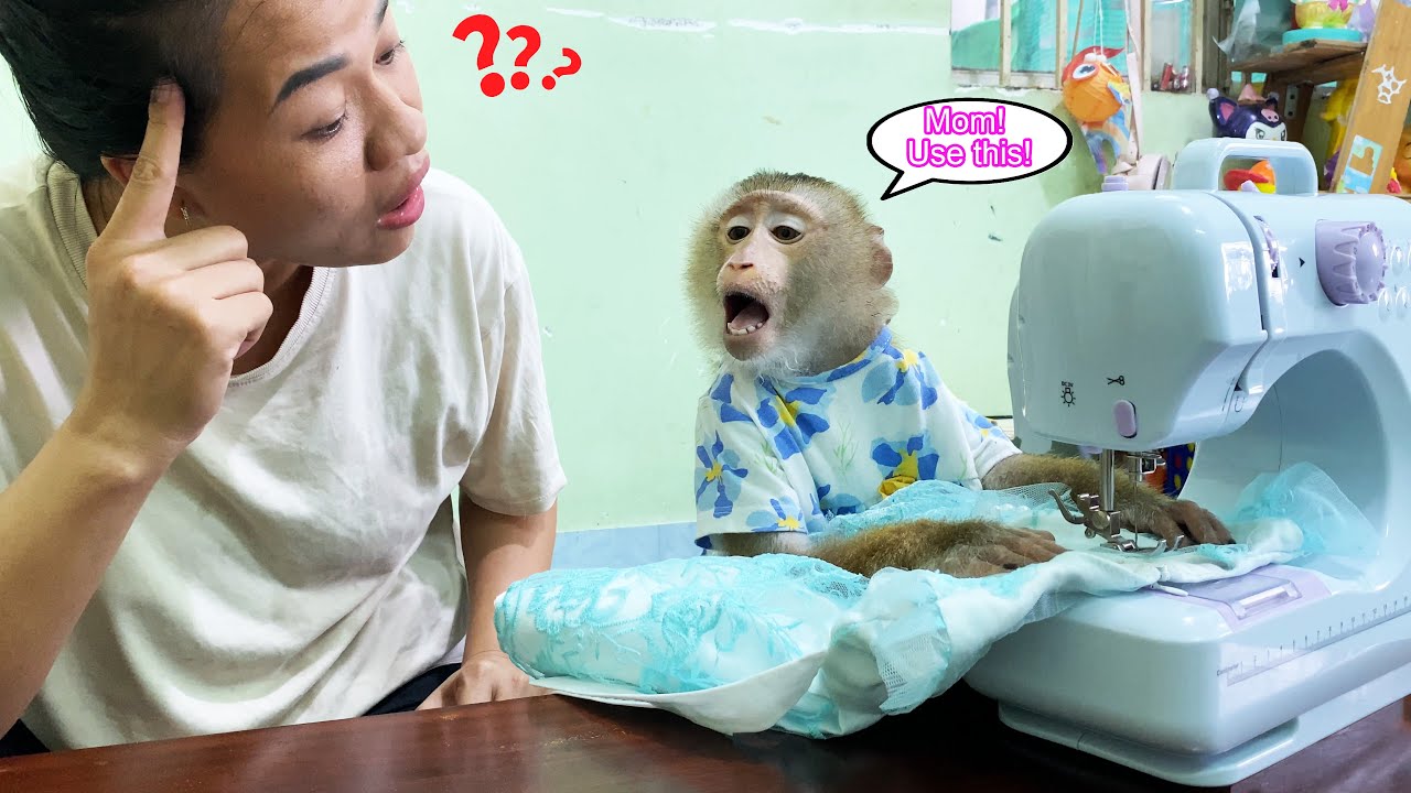 Quick-witted Monkey Lyly asked her mother to mend her torn dress and then...