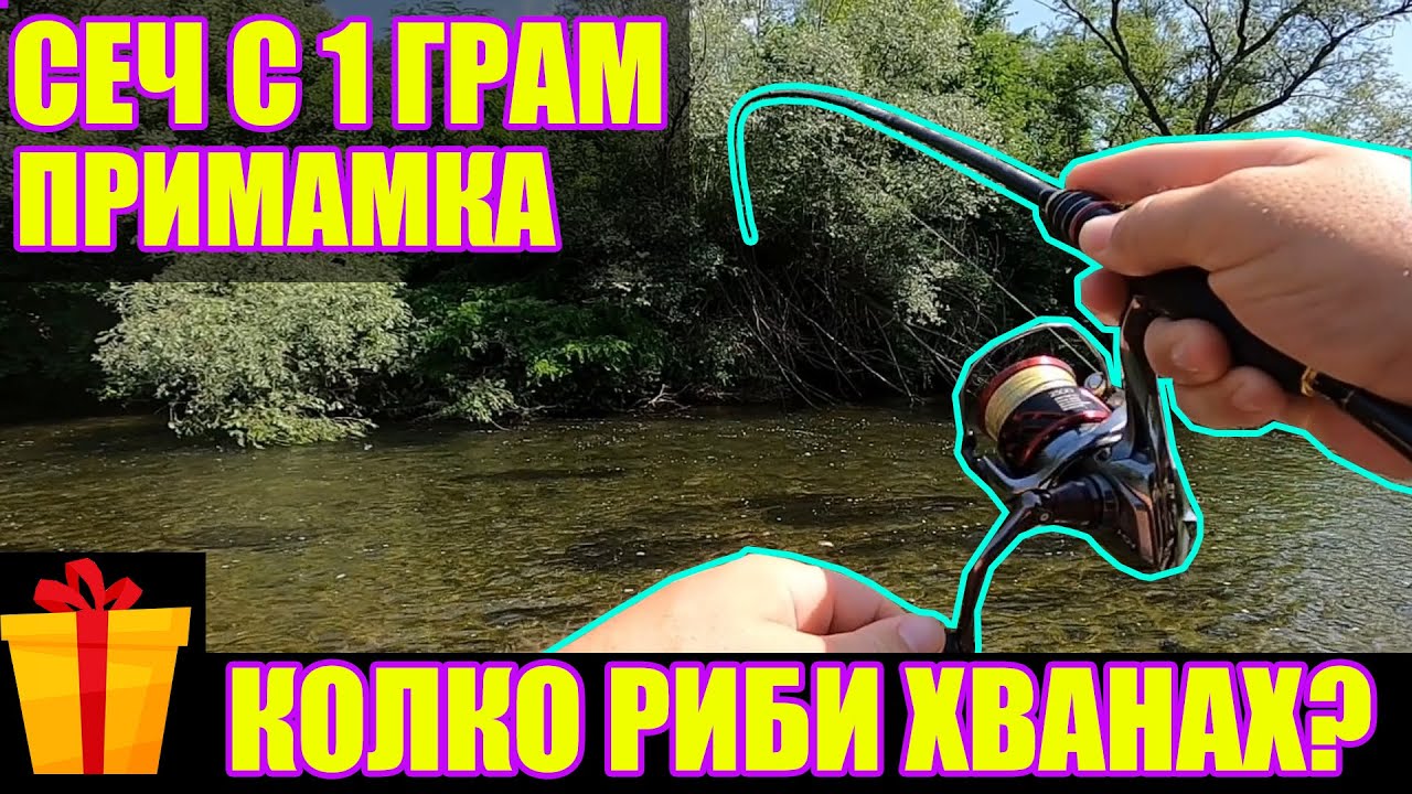 СЕЧ С 1 ГРАМ ПРИМАМКА. РИБОЛОВ НА ТРУДНИ КЕФАЛИ