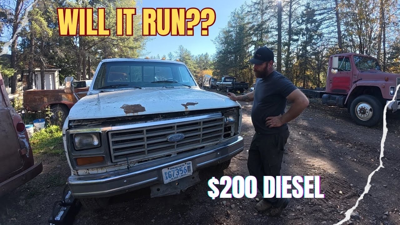 Заведётся ли? Заброшен с 2014 года... 1986, дизель F350 7.3 IDI