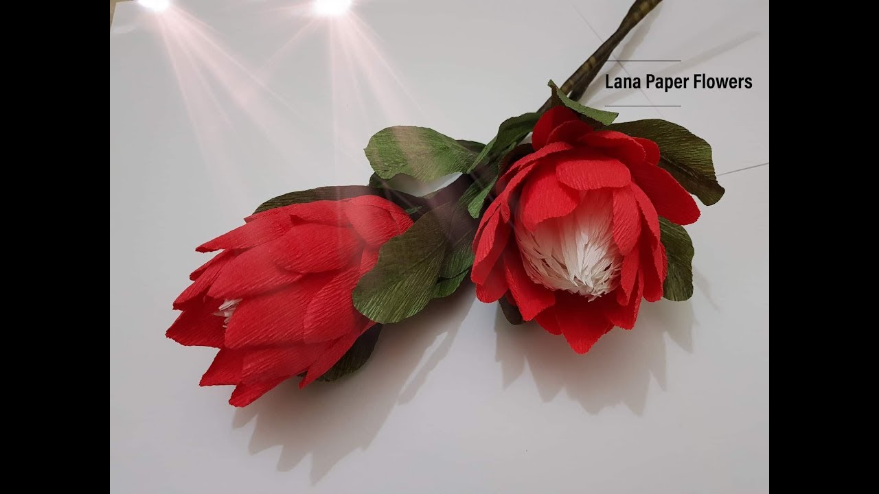 How To Make Queen Proty Paper Flower From Crepe Paper - Caft Tutorial