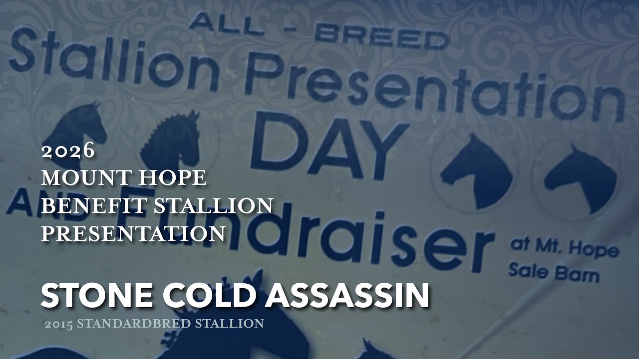 Stone Cold Assassin, 2015 Standardbred Stallion | 2026 Mount Hope Stallion Presentation