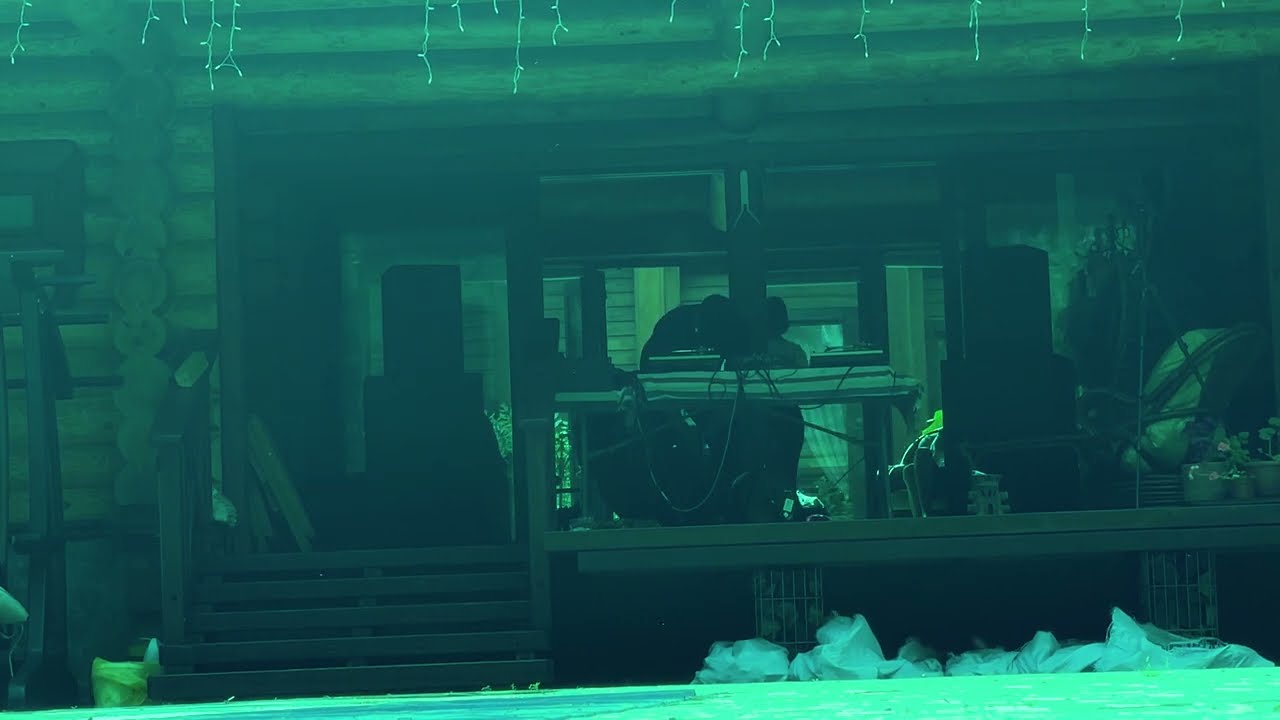 Lebowski b2b Artleks@Dacha movement