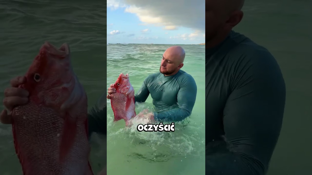 Łowienie z harpunem jak prawdziwy boss‼️😱 (@GOREC_KZ)