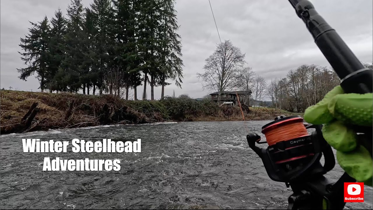 Winter STEELHEAD Adventure: Grinding on the River