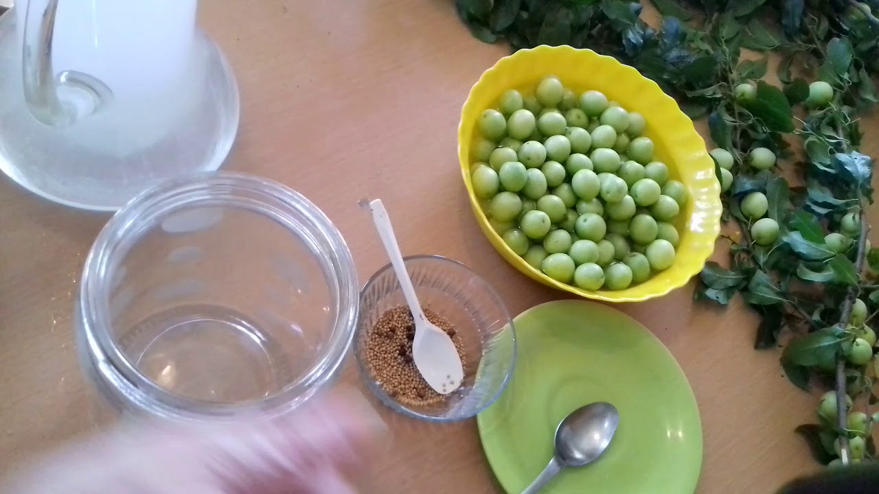 Corcoduşe murate la fel de bune ca măslinele verzi .