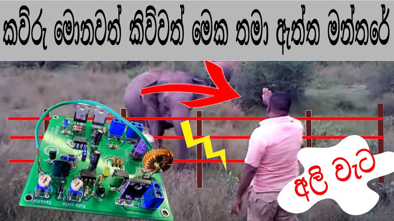 Ali weta, How to make Electric Fence