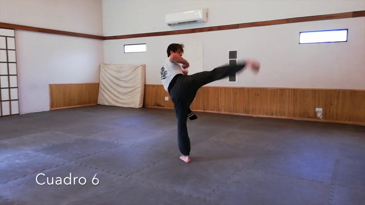 Formas del Dragón - Kung Fu