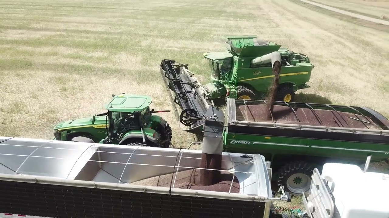 JKD Harvest 2022 - Canola