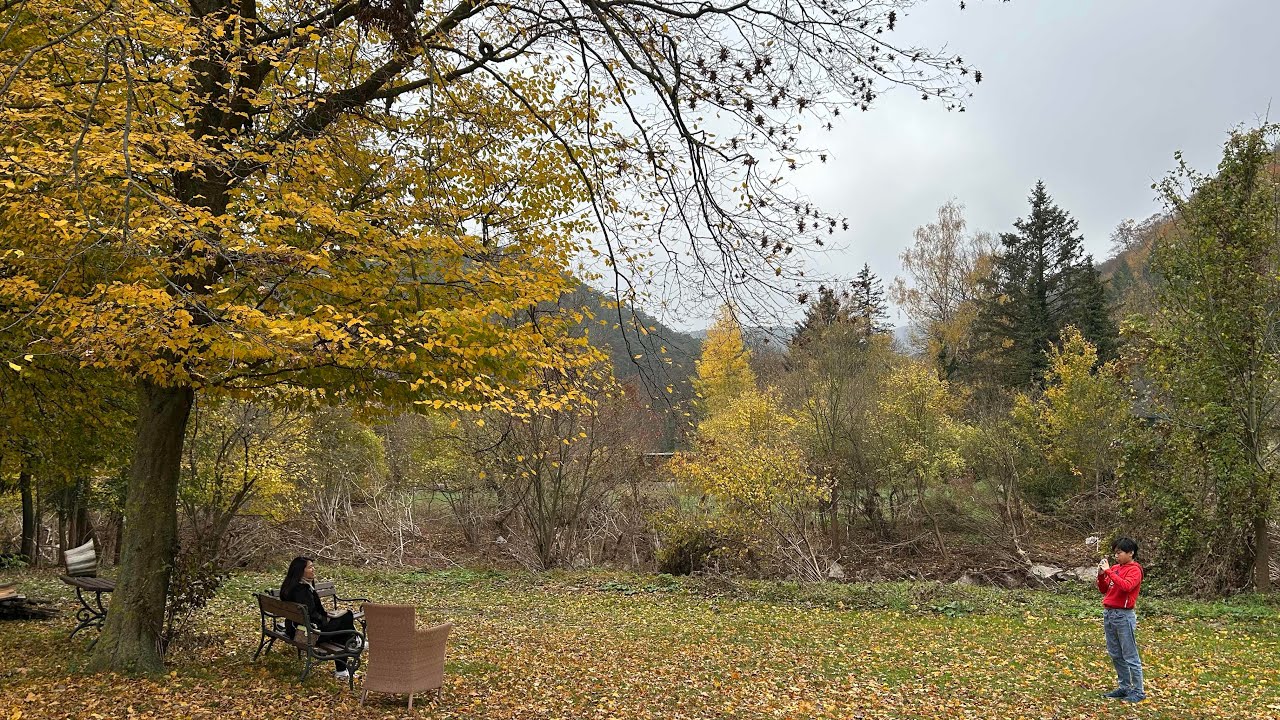 Walking around Hotel Krainerhütte in autumn 2024