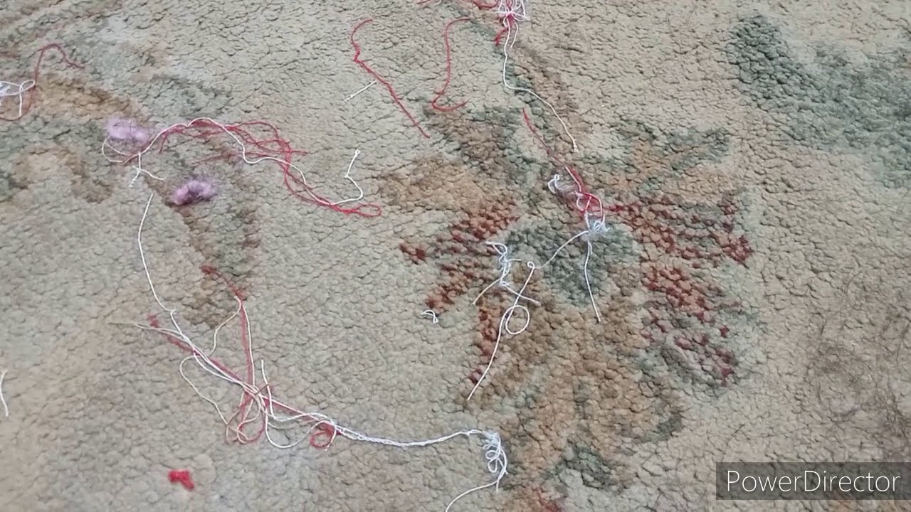 ازالة الشعر والخيوط من السجاد والمشيات بكل سهولة