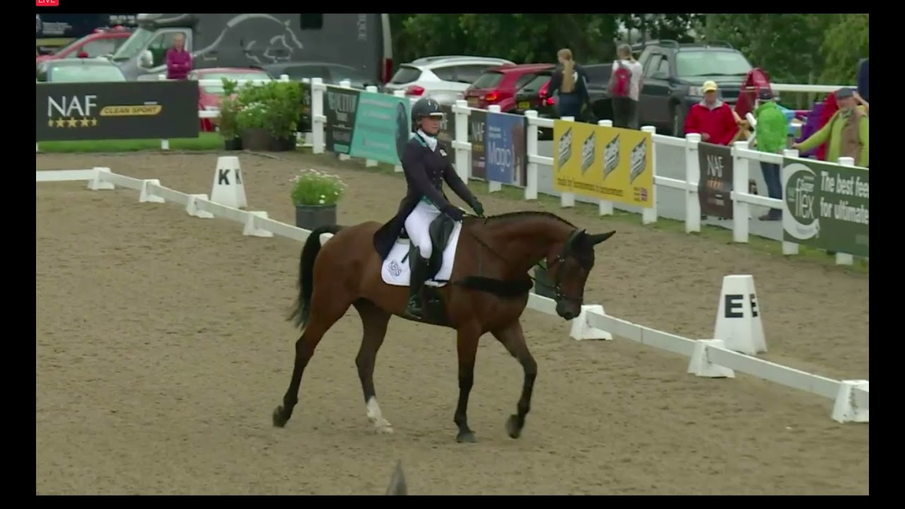 Woodlands Be Daring - 3*L dressage at Hartpury International
