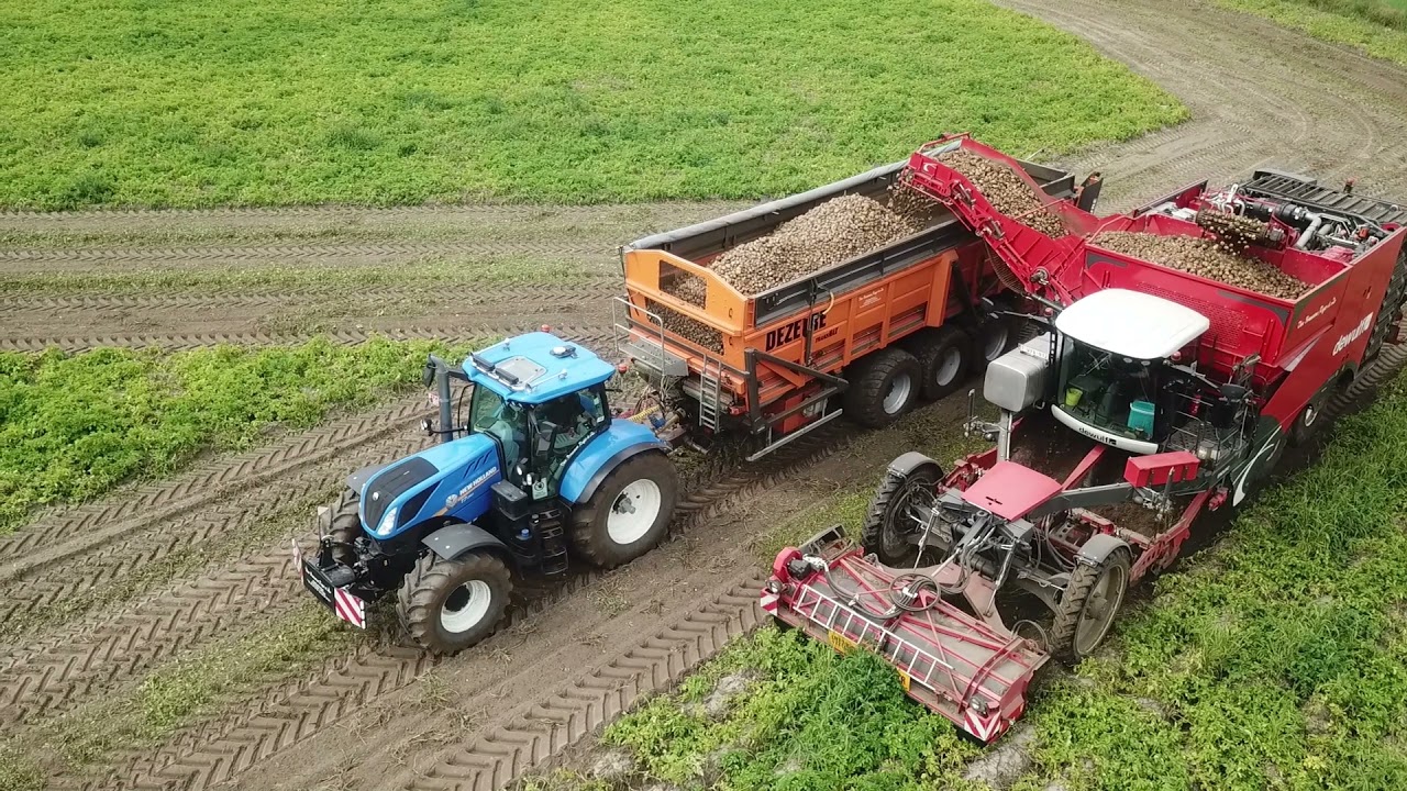 Van Bruwaene & Zn | Aardappelen rooien | Dewulf Enduro