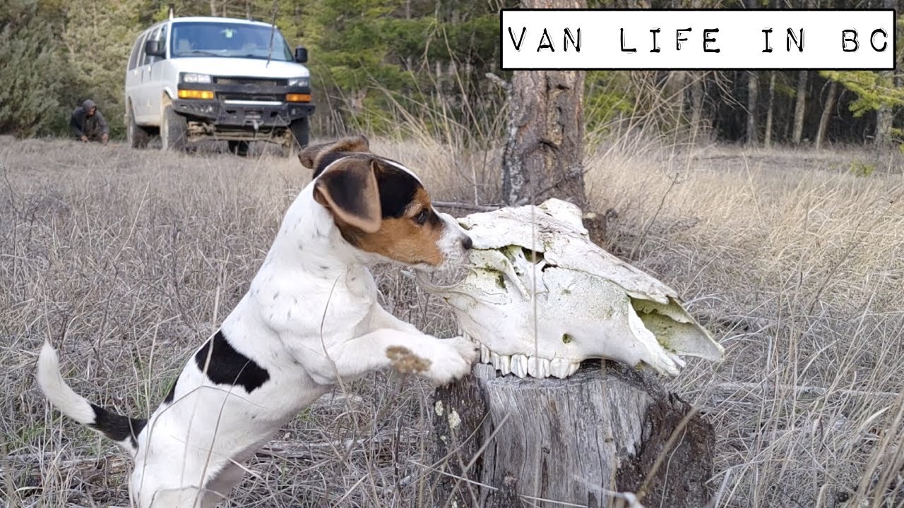 Van Life BC — Рагу на двоих — г. Тегарт
