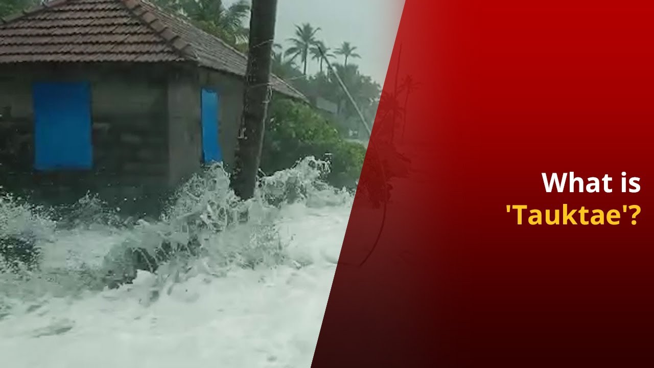 All You Need To Know About Arabian Sea Cyclone 'Tauktae' | NewsMo