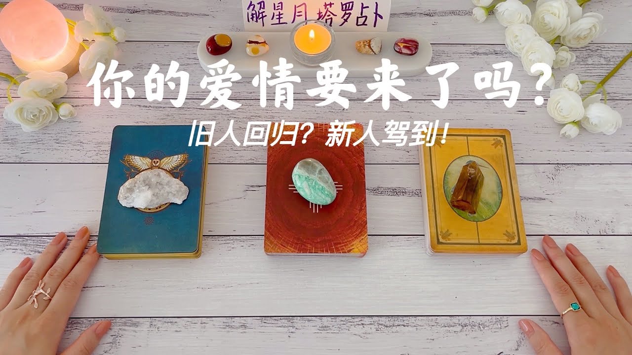 🦩你的爱情要来了吗？还要等多久🧩旧人回归or新人驾到？你是否已经ready准备好了！塔罗占卜你的爱情要来了🥰