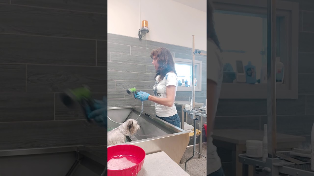 KIT MANTI LUNGHI (3) come fare lo shampoo