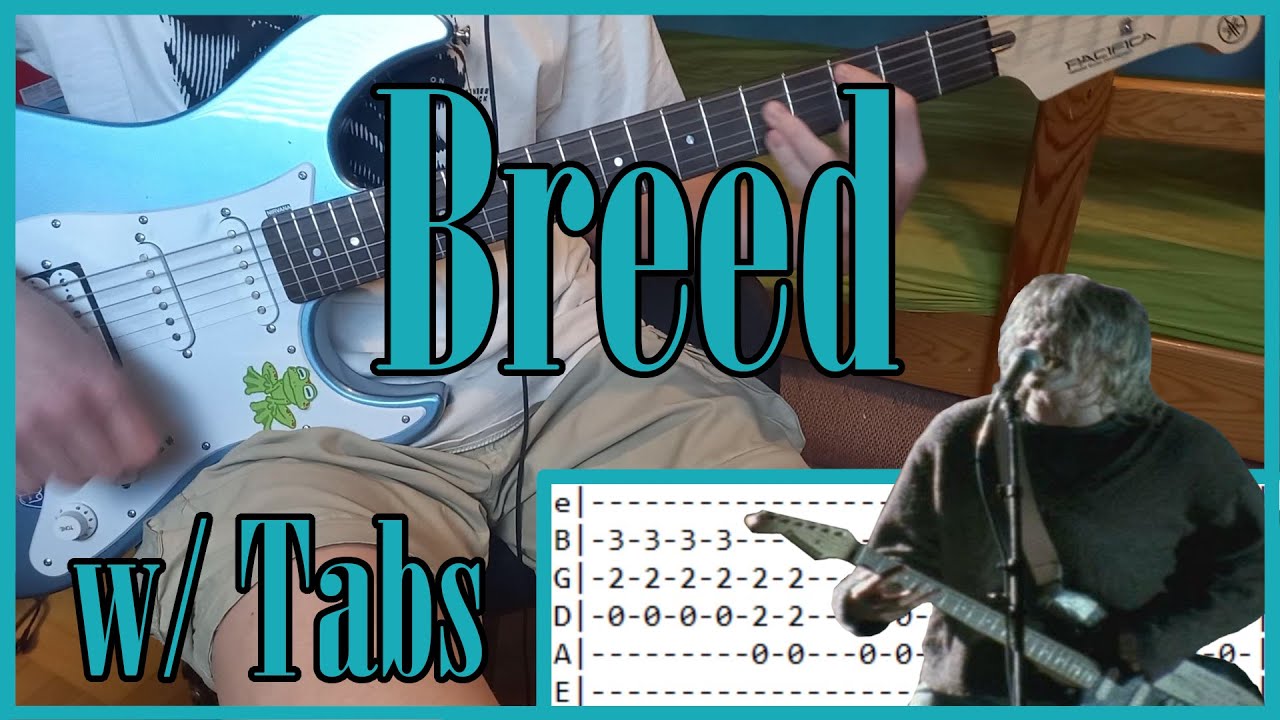 Nirvana - Breed | Guitar Cover with Tabs