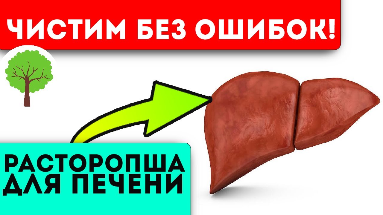 Мало кто знает, а зря! Вот как правильно чистить печень от токсинов расторопшей