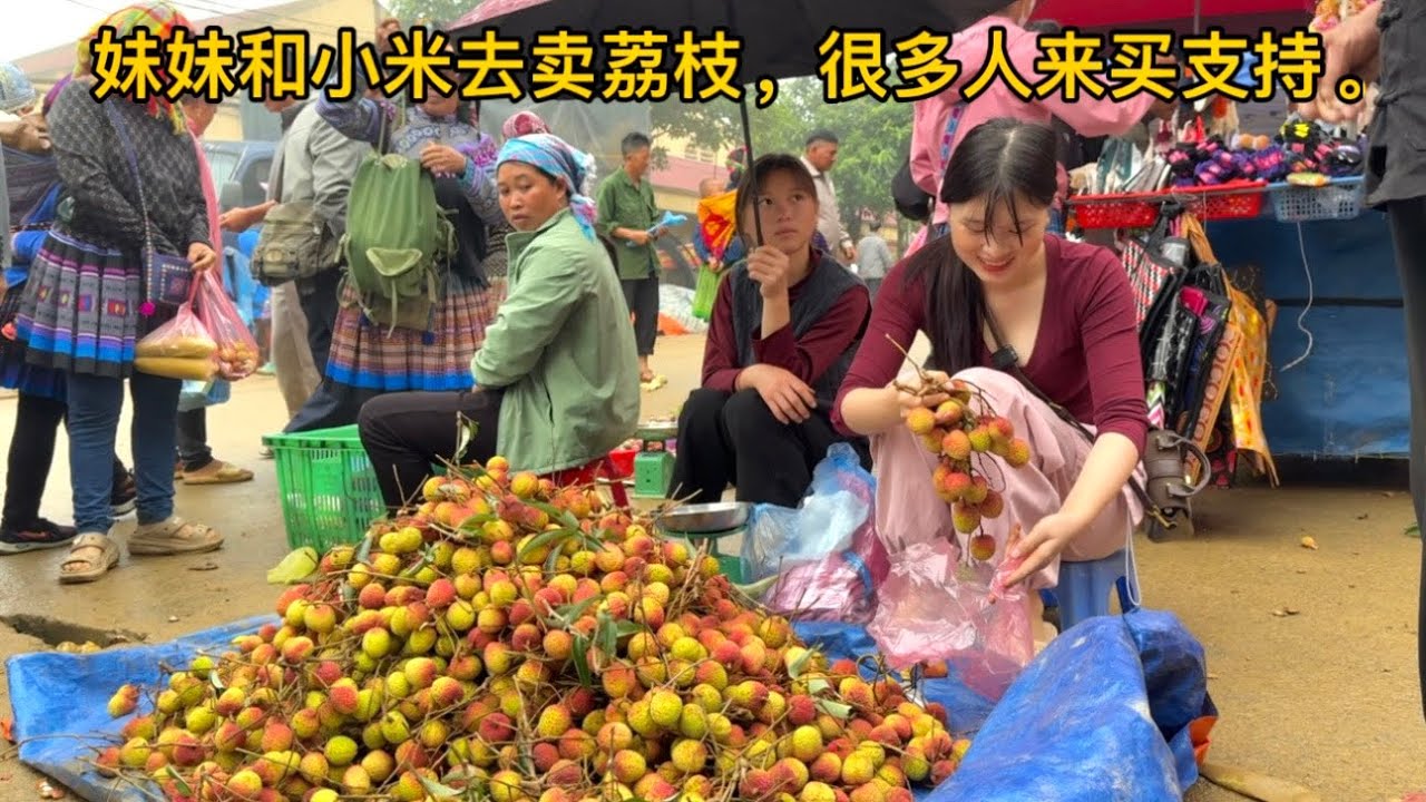 妹妹与小米前往集市出售荔枝，没想到竟有众多顾客支持小米，多到应接不暇 | 越南小米