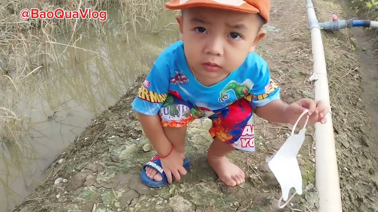 Ra đồng trồng rau cải ở miền tây chợ mới an giang...