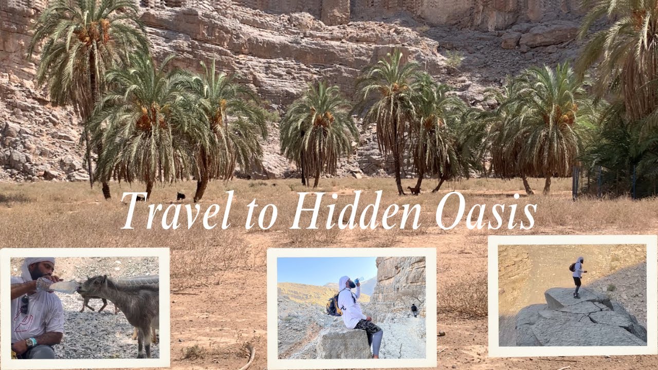 Traveling to Hidden Oasis in Wadi Shehah in Ras Al Khaimah for Hike try this spot #nature #hike #uae