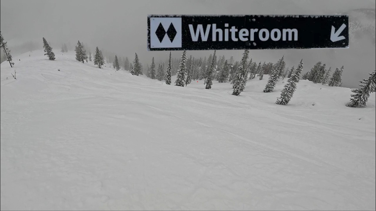 Have You Ever...Been in the Whiteroom? | Panorama B.C.