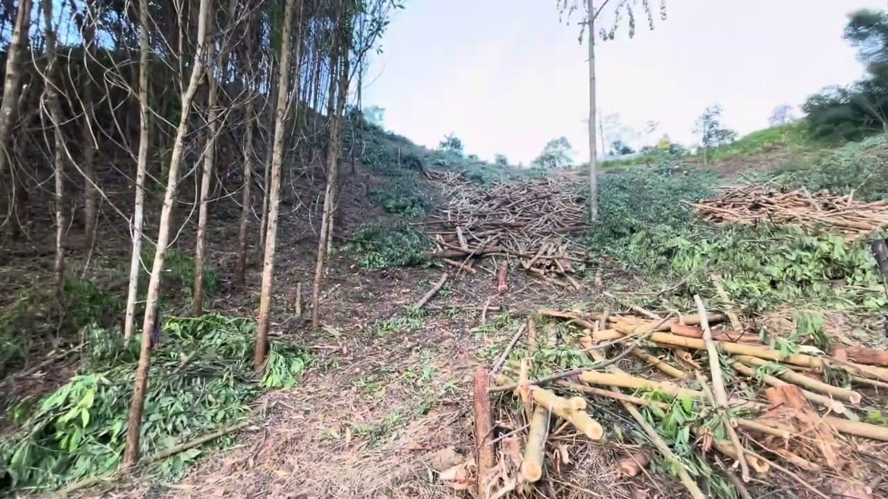 Phu Serri Vinateawon Phu Serri
