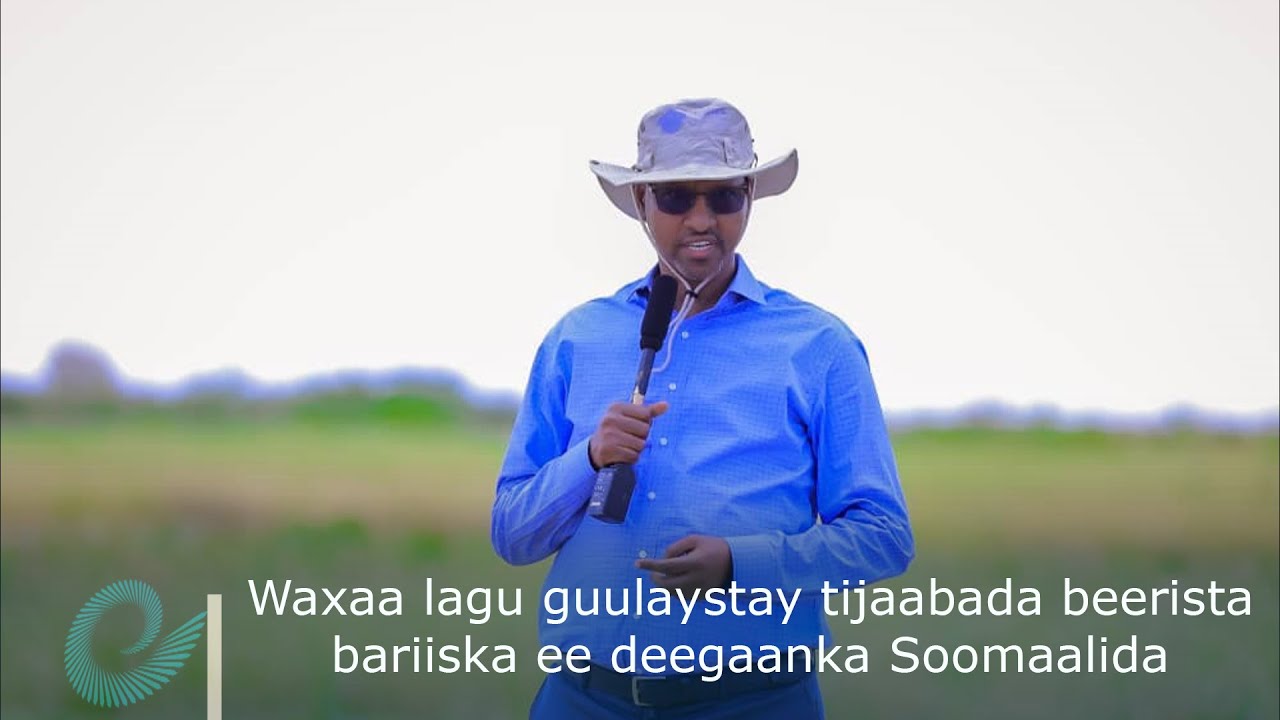 Waxaa lagu guulaystay tijaabada beerista bariiska ee deegaanka Soomaalida