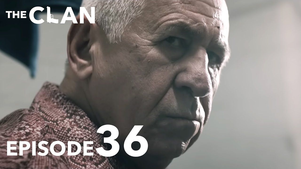 The Clan | Clanul Season 3 Episode 10