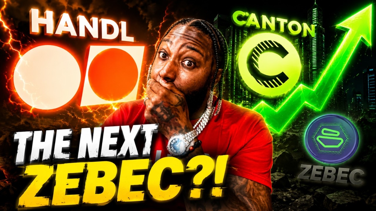 Is HANDL the Next Zebec? My Honest Breakdown