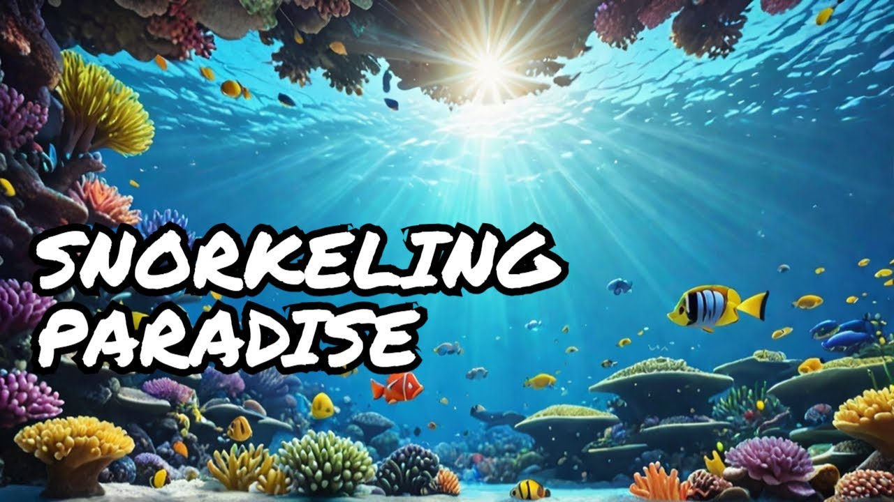 UNDERWATER PARADISE: A Musical Dive into Maldives' Hidden Wonders | Snorkeling Adventure