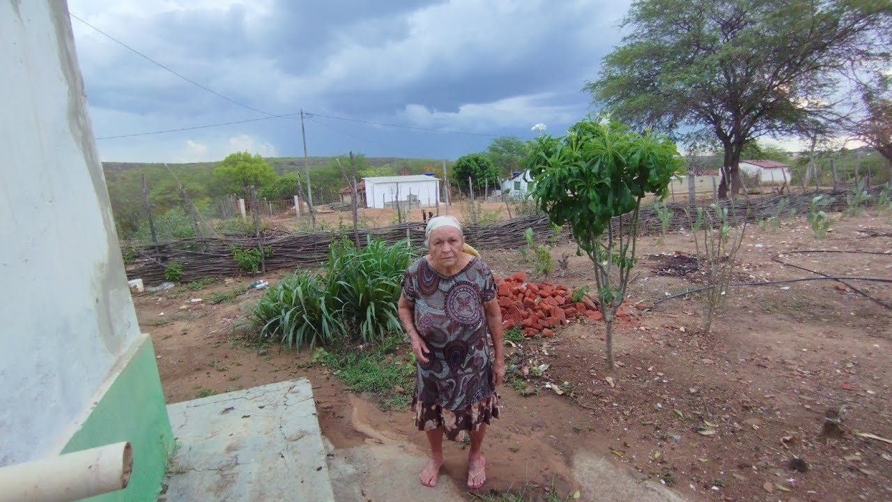 CHUVA NA REGIÃO DO SERTÃO PERNAMBUCANO VEJA A FELICIDADE DE DONA INÁCIA 