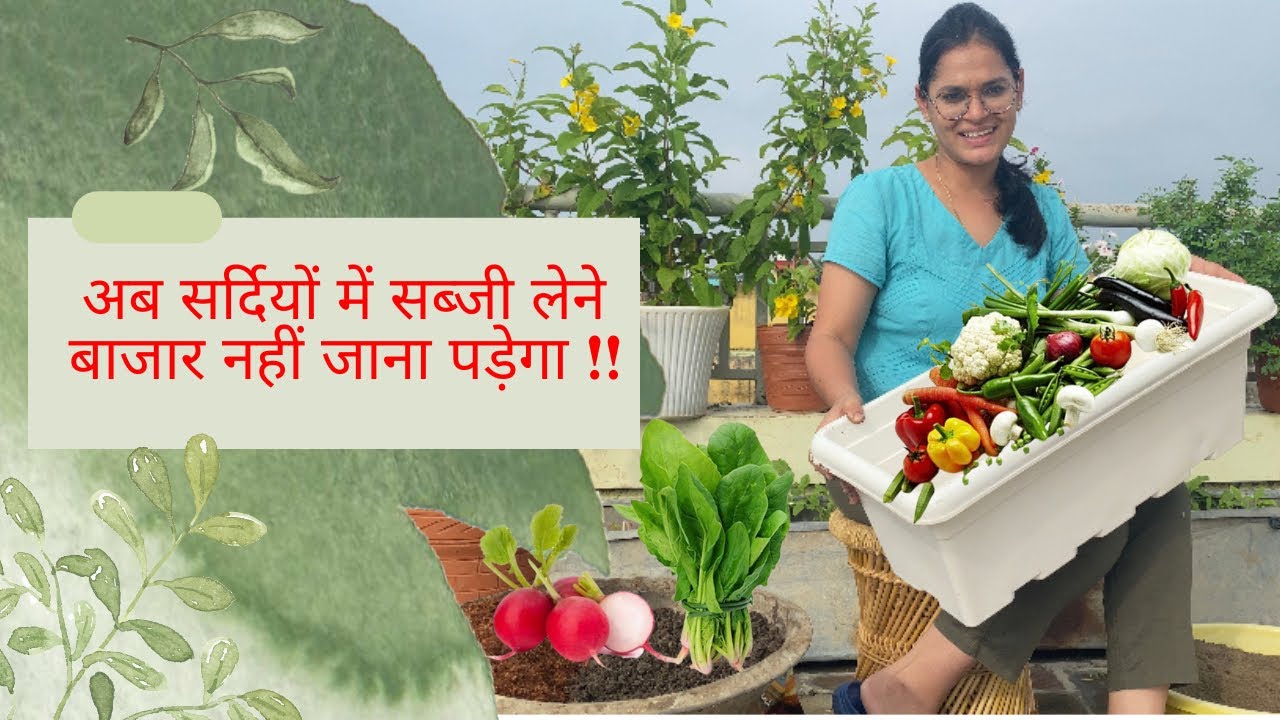 How to grow winter #vegetables | सर्दियों की सब्ज़िया कैसे उगाए