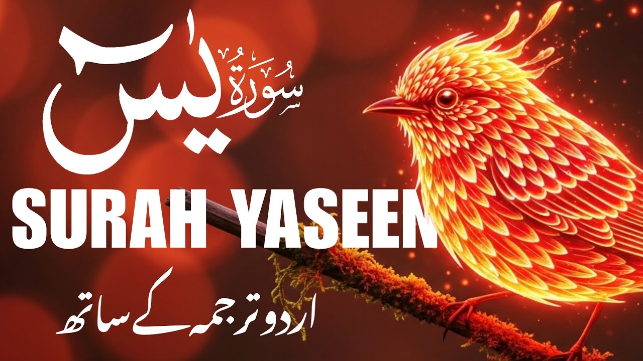 Surah Yasin (Yaseen) Full Tilawat with Urdu Tarjuma | Emotional Quran Recitation | قاری منصور
