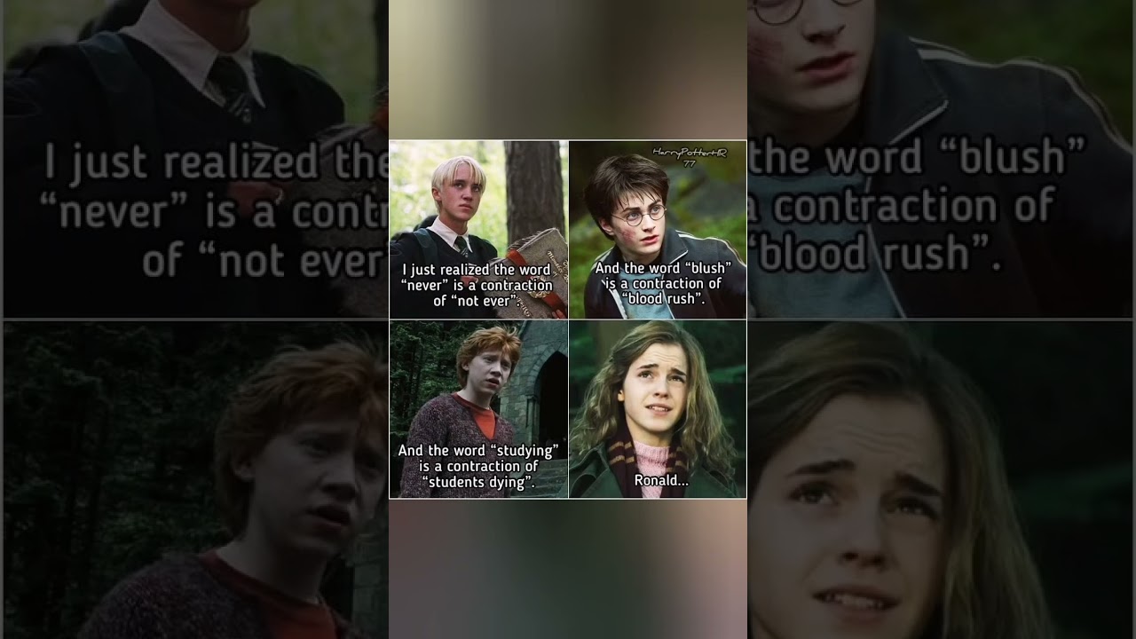 Harry Potter meme