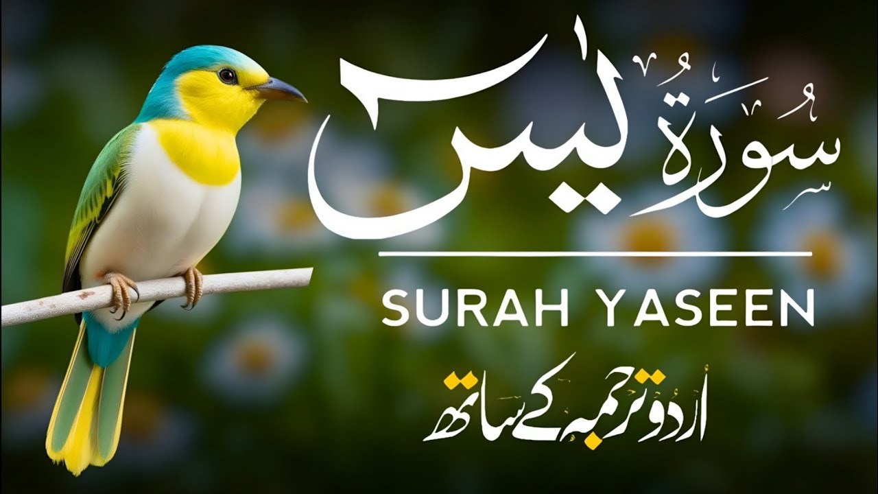 Surah Yaseen | Surah Yaseen With Urdu Translation | Episode - 695