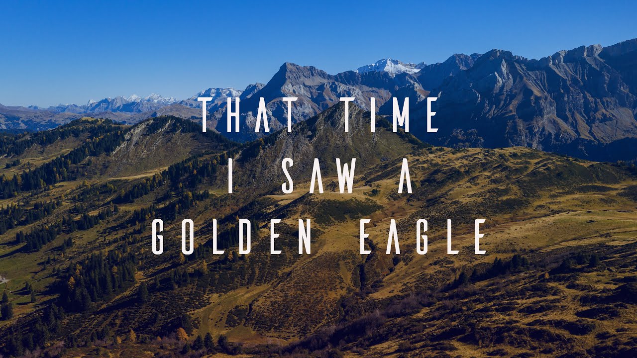 That time I saw a golden eagle - Hiking Switzerland | Dji Mavic 2 pro