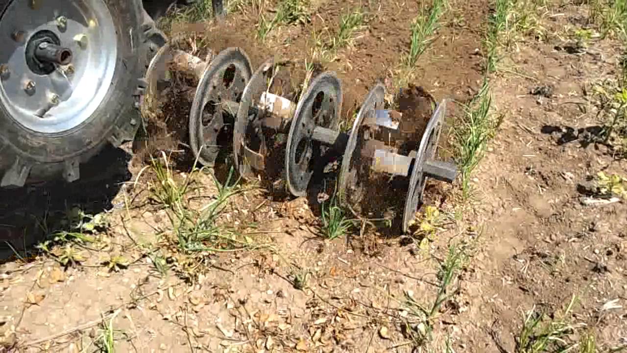 weeding onion.mp4